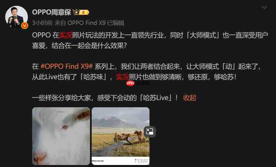 OPPO Find X9 Pro 曝光：1.5K 直屏 + 极窄四等边设计