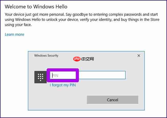 Win10系统设置Windows Hello的方法是什么？