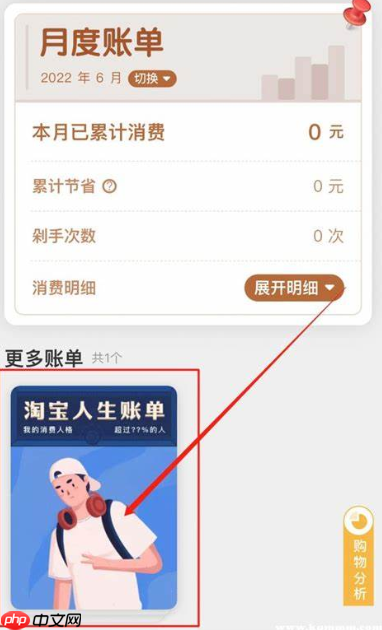 我的淘宝人生总账单在哪看?看不到账单咋办?淘宝人生总账单查询指南:查看方法与常见问题解决!