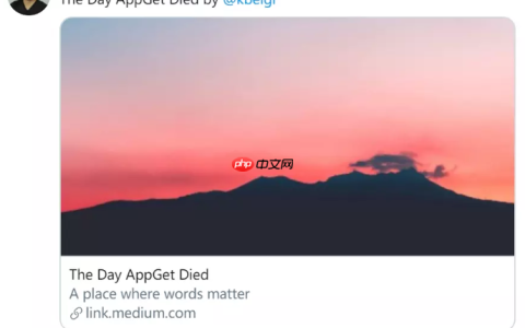 开源项目AppGet 作者：大厂“套取”了我的方案后把我扔到了一边