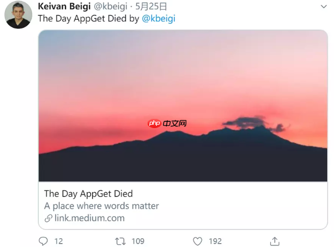 开源项目AppGet 作者:大厂“套取”了我的方案后把我扔到了一边