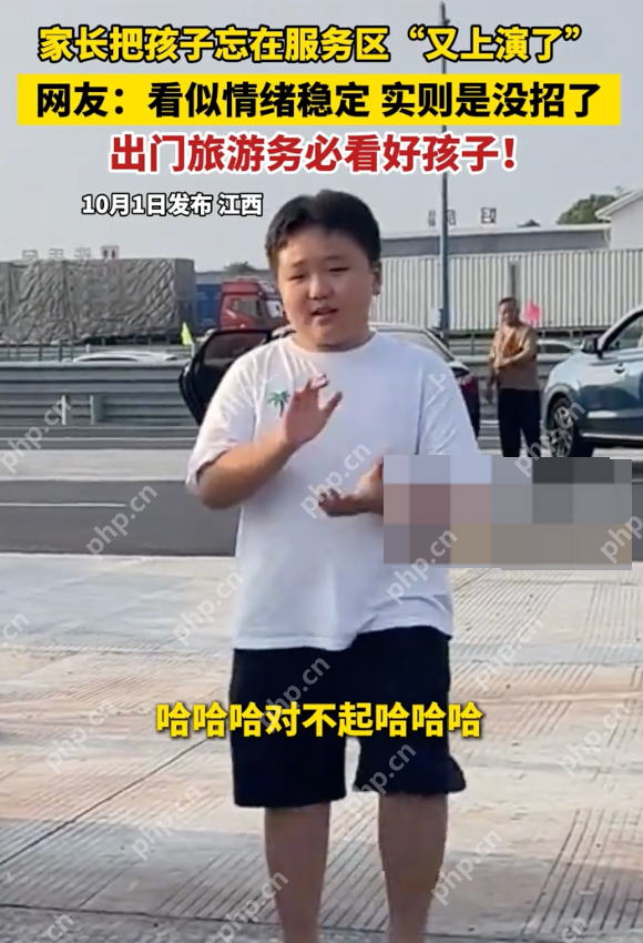 家长把孩子忘在服务区“又上演了” 网友:小孩看似情绪稳定 实则是没招了 - 创想鸟