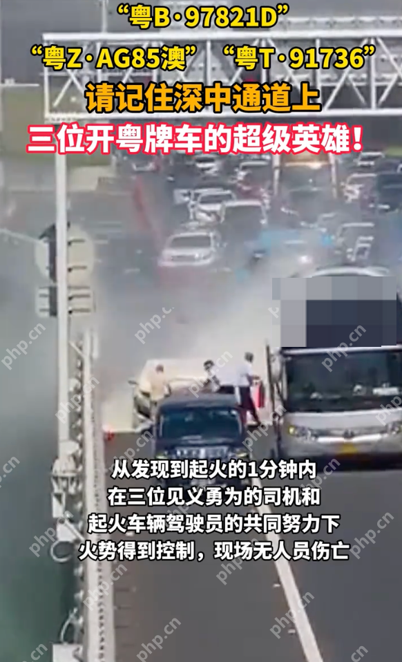 深中通道上三位开粤牌车的超级英雄:“粤B·97821D” “粤Z·AG85澳”“粤T·91736” - 创想鸟