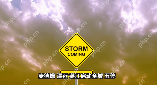 深圳市台风预警信号升级为蓝色 “五停”为安全“踩下加速键” - 创想鸟
