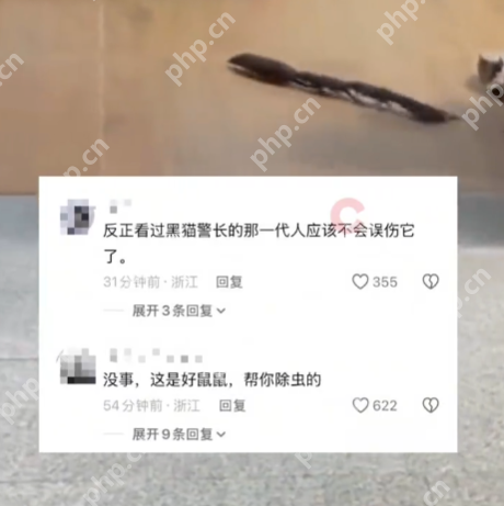 广州一市民家中惊现鼠条是怎么回事?详情介绍 - 创想鸟