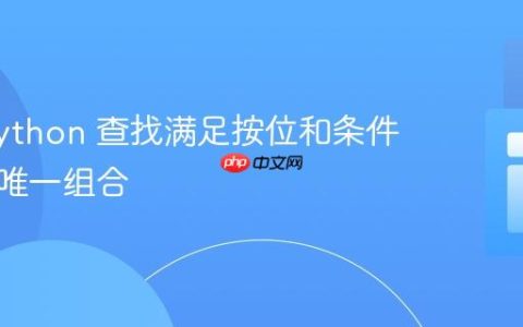 使用 Python 查找满足按位和条件的数组唯一组合