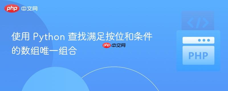 使用 Python 查找满足按位和条件的数组唯一组合