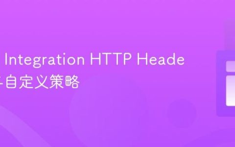 Spring Integration HTTP Header转换与自定义策略