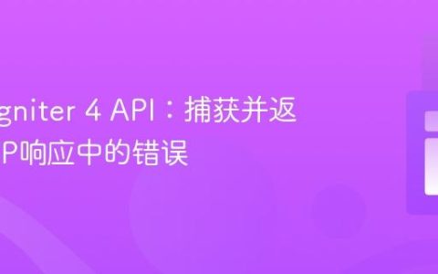 CodeIgniter 4 API：捕获并返回HTTP响应中的错误