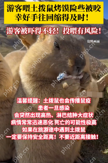 游客喂土拨鼠烤馍险被咬 温馨提示:土拨鼠或传播鼠疫,切勿因萌接触 - 创想鸟