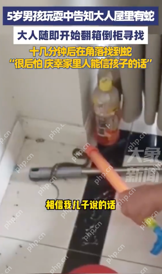 男孩说屋里有蛇大人翻箱倒柜后找到 孩子父亲:很后怕,庆幸听了孩子的话 - 创想鸟
