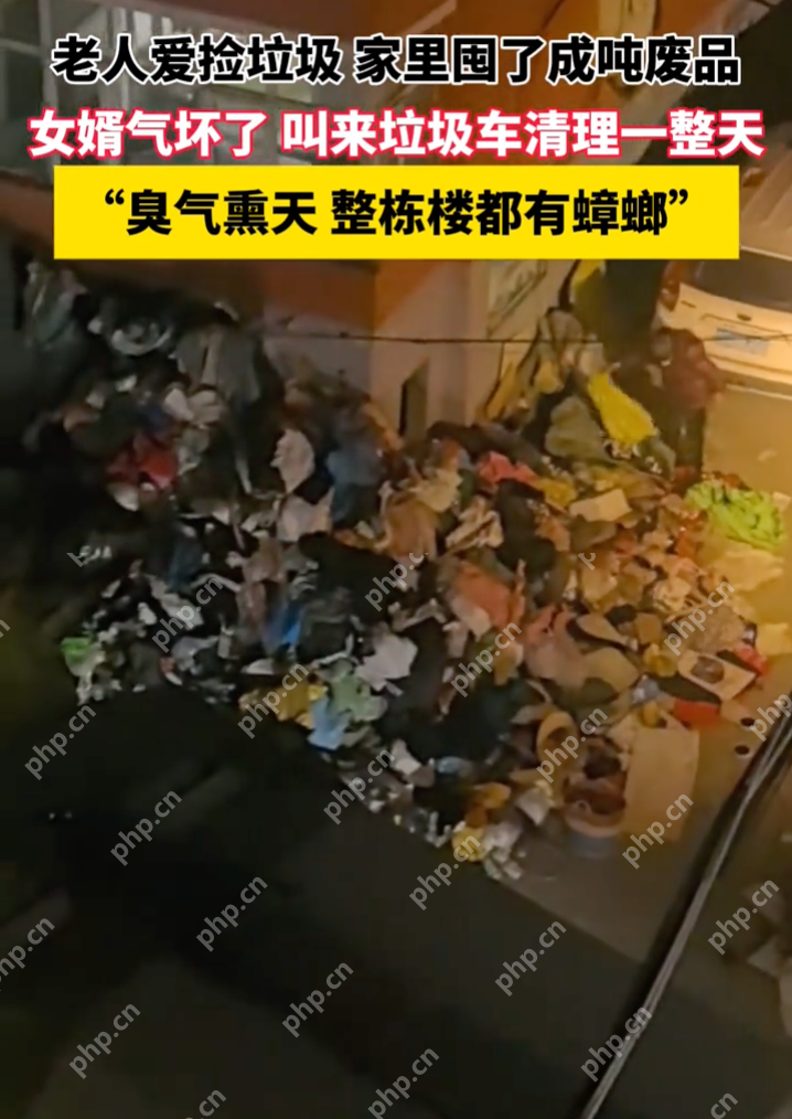 老人爱捡垃圾家里囤了成吨废品:“臭气熏天 整栋楼都有蟑螂” - 创想鸟