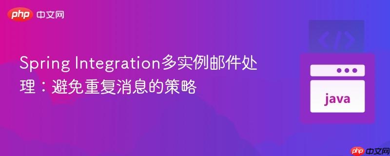 Spring Integration多实例邮件处理:避免重复消息的策略