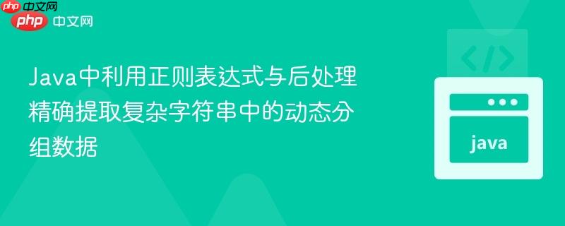 Java中利用正则表达式与后处理精确提取复杂字符串中的动态分组数据