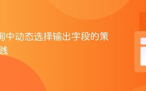 JPA查询中动态选择输出字段的策略与实践