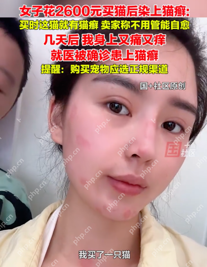 女子花2600元买猫后染上猫癣:买时猫就有猫癣,卖家称不用管能自愈 - 创想鸟