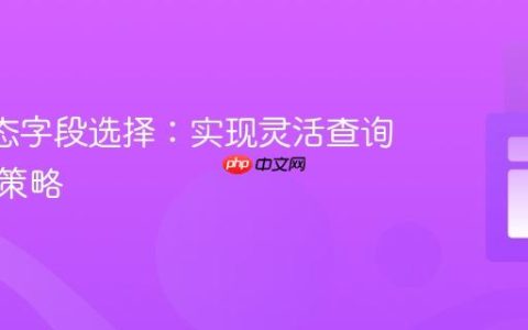 JPA动态字段选择：实现灵活查询输出的策略