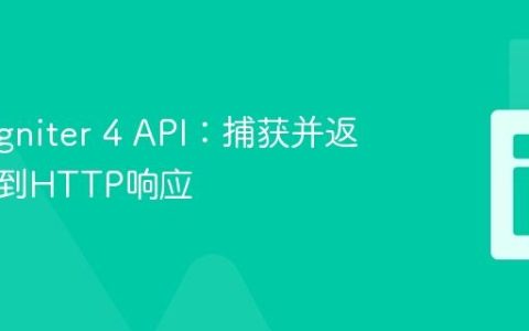 CodeIgniter 4 API：捕获并返回错误到HTTP响应