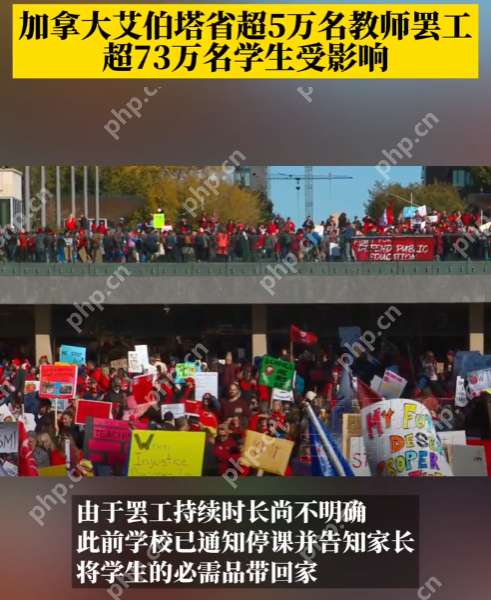 加拿大5万教师罢工致73万学生停课 原因:要求提高教学条件和薪酬 - 创想鸟