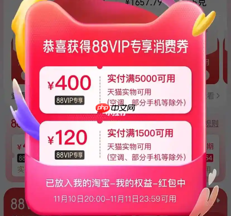 88vip双十一是否有大额优惠券?可以领取多少优惠券?关注官方消息,享受更多优惠!