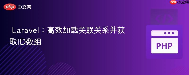 Laravel:高效加载关联关系并获取ID数组