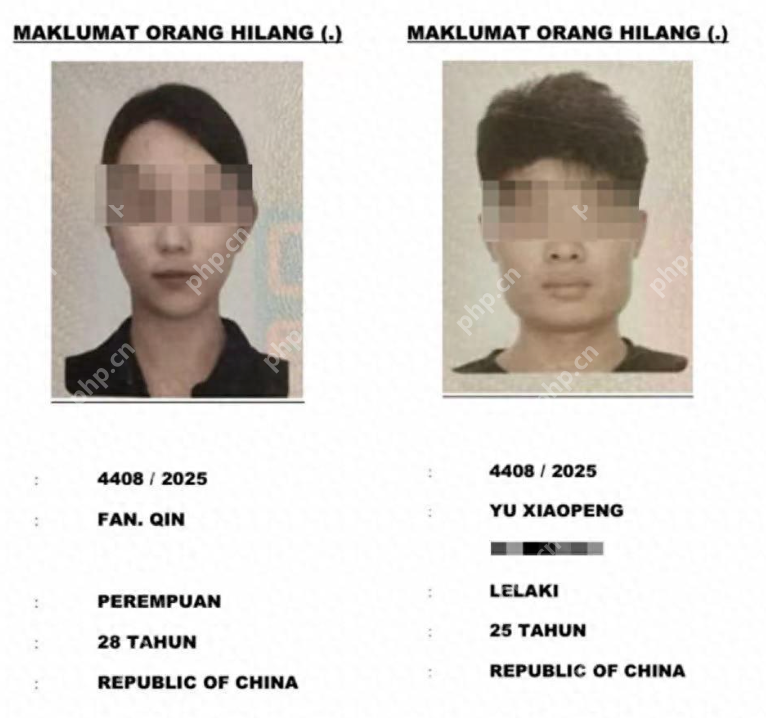 曝马来西亚失联男游客手机定位在海里:手机最后一次信号出现在海域深处 - 创想鸟