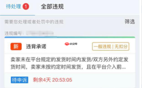 淘宝催发货工单处理不了会罚款吗？相关问题如何解答？卖家必看的应对指南
