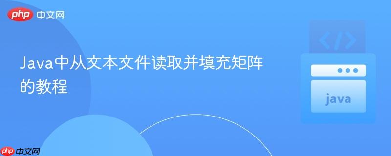 Java中从文本文件读取并填充矩阵的教程