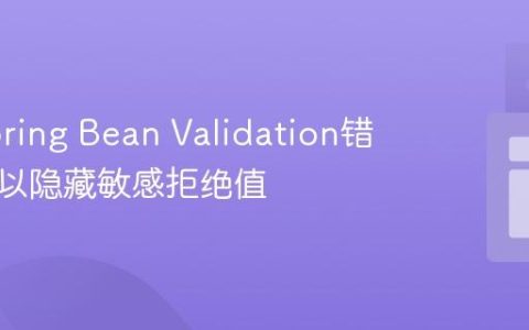 定制Spring Bean Validation错误处理以隐藏敏感拒绝值