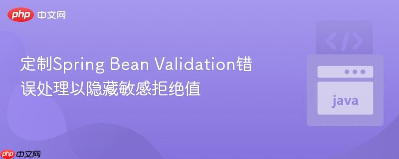 定制Spring Bean Validation错误处理以隐藏敏感拒绝值