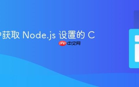 PHP 中获取 Node.js 设置的 Cookie