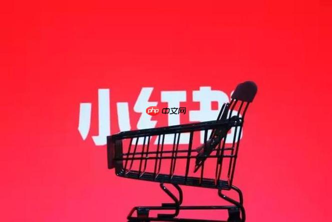 小红书商家入驻后登录_千帆PC端管理后台官网 - 创想鸟