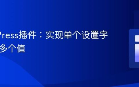 WordPress插件：实现单个设置字段保存多个值
