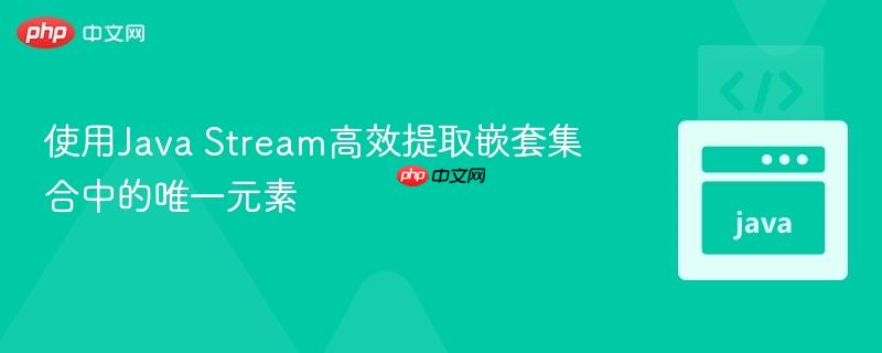 使用java stream高效提取嵌套集合中的唯一元素