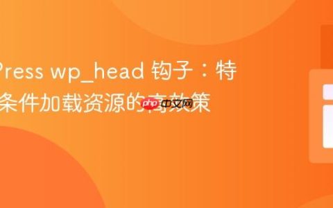 WordPress wp_head 钩子：特定页面条件加载资源的高效策略