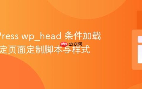WordPress wp_head 条件加载：为特定页面定制脚本与样式