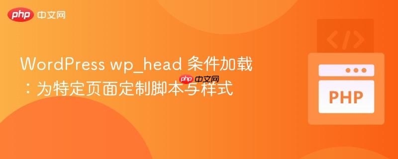 WordPress wp_head 条件加载:为特定页面定制脚本与样式