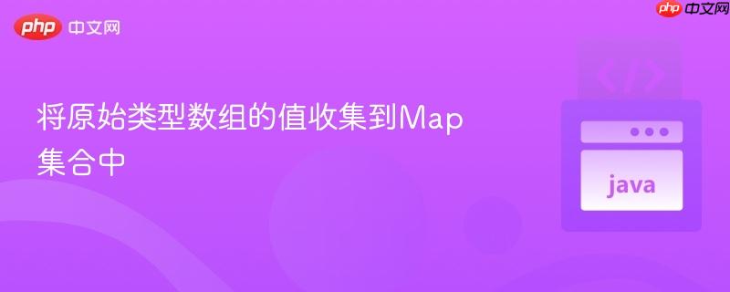 将原始类型数组的值收集到map集合中