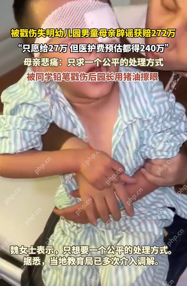 被戳伤失明男童母亲辟谣获赔272万:只愿给27万,但医护费预估都得240万 - 创想鸟