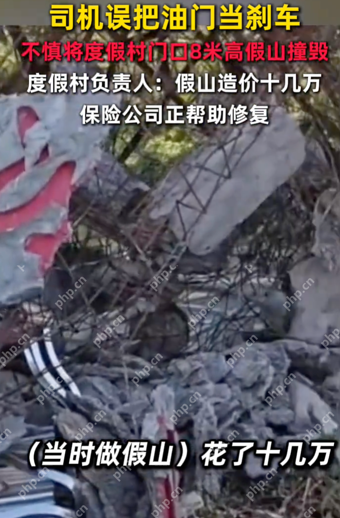 司机误把油门当刹车将8米高假山撞毁 度假村负责人:假山造价十几万 - 创想鸟