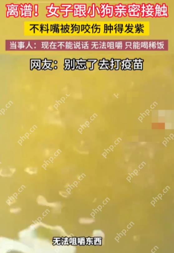 女子亲小狗嘴被咬伤肿的发紫 当事人:现在无法说话不能咀嚼只能喝粥 - 创想鸟