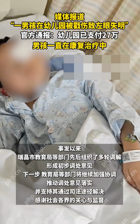男孩在幼儿园被戳伤失明？官方通报：入院检查左眼视力矫正后为0.4+ - 创想鸟