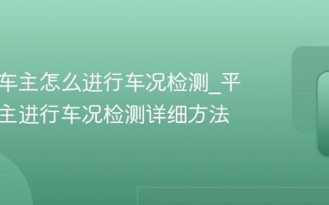 平安好车主怎么进行车况检测_平安好车主进行车况检测详细方法