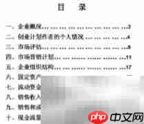 商业计划书撰写指南
