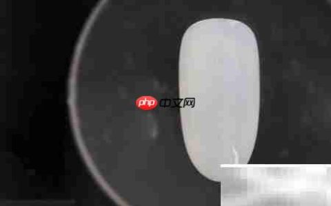 金线毛格子美甲教程