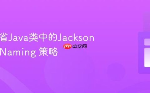 动态内省Java类中的Jackson @JsonNaming 策略