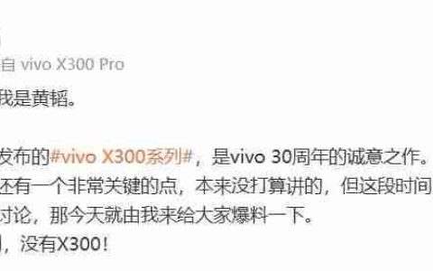 vivo产品副总裁称X300系列为“影像旗舰大小王”：没有标准版