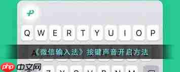 微信输入法app如何开启按键声音