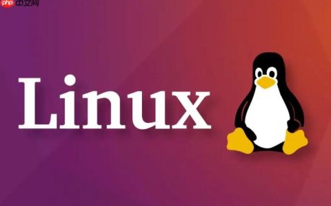 Linux中如何查看系统时间_Linux系统时间查看与设置方法