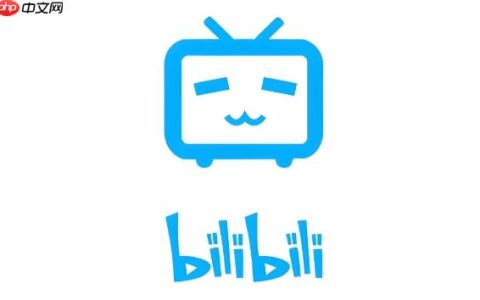 b站免费网页入口 哔哩哔哩官方网站进入